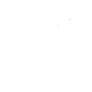 mess-1